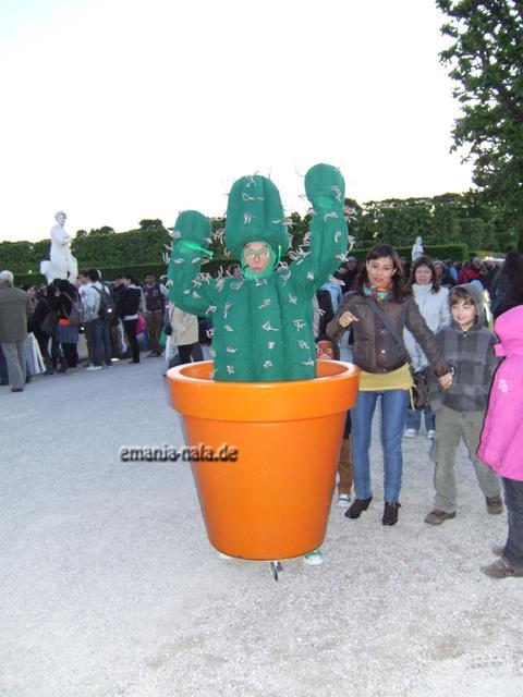Der mexikanische Kaktus